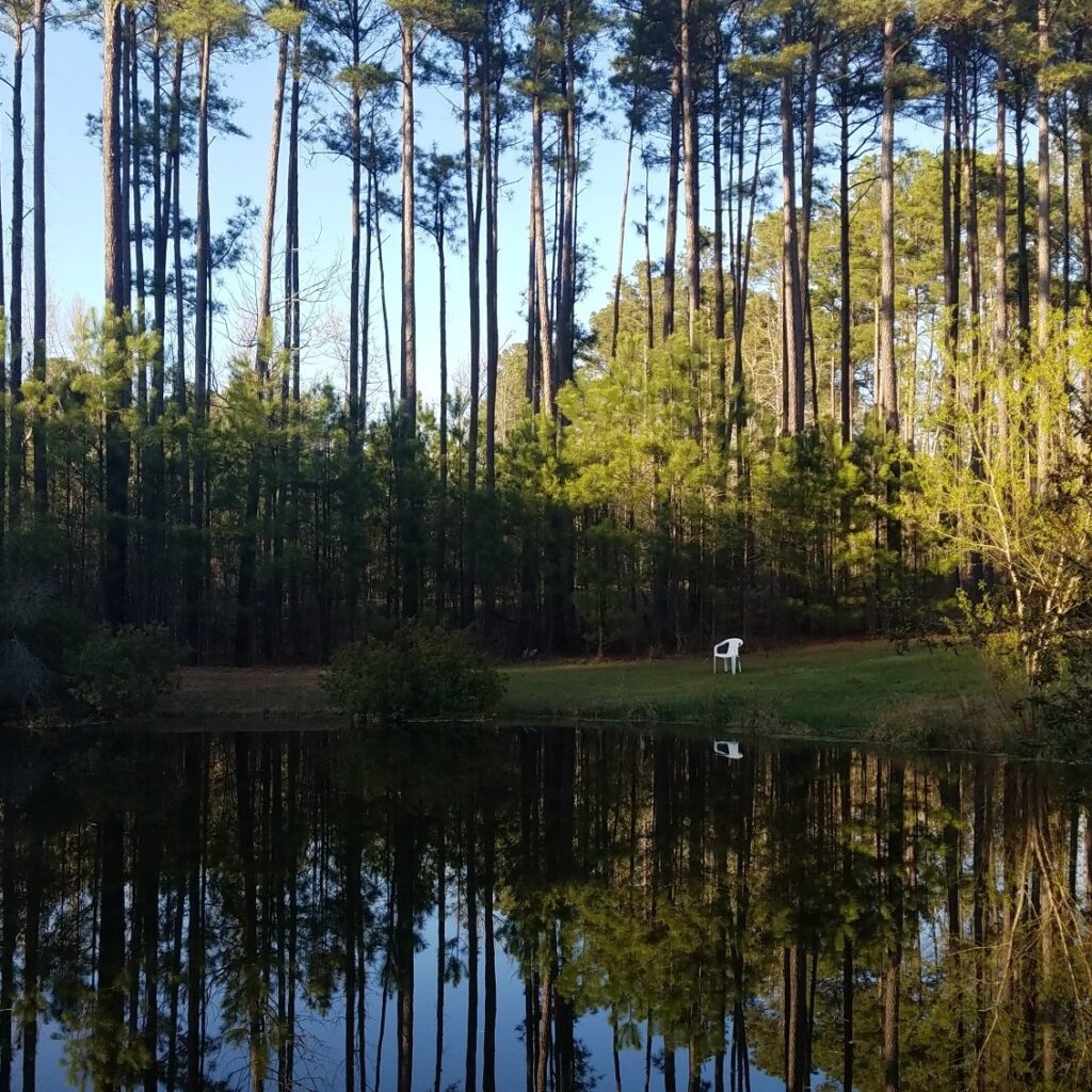 sky pond water CROPPED sky pond water CROPPED